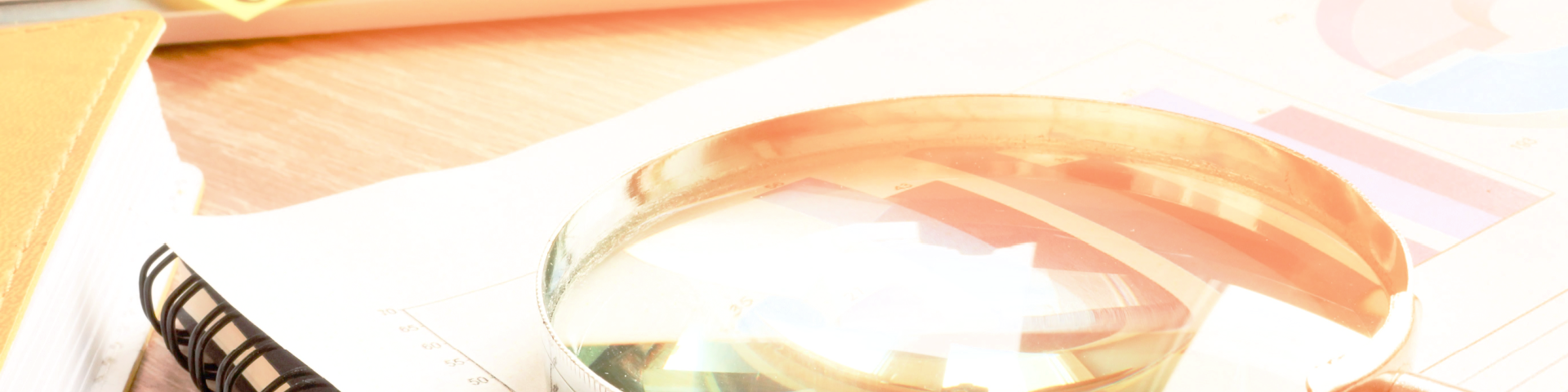 Shutterstock 1134923882 (1)