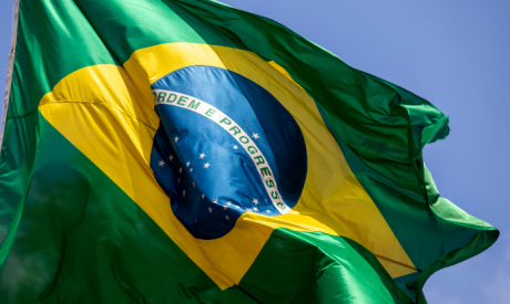 Brazil Monthly Economic Report