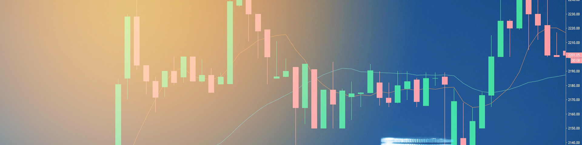 Shutterstock 1922789066 (1)