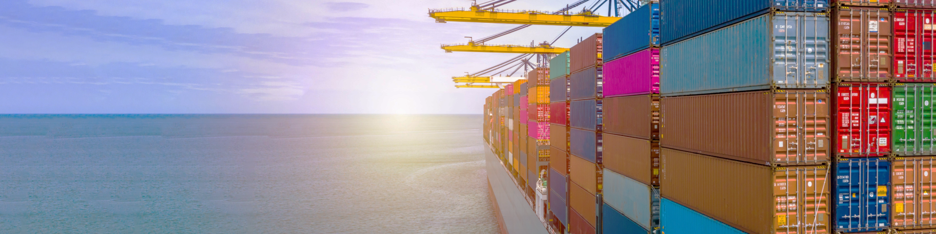 Shutterstock 1677166660