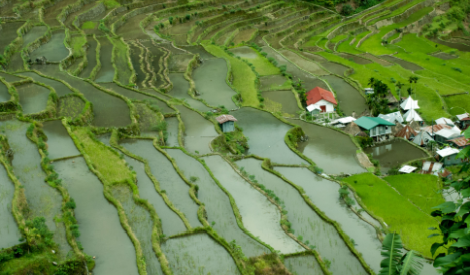 Rice Terrace Philippines Shutterstock 781788115