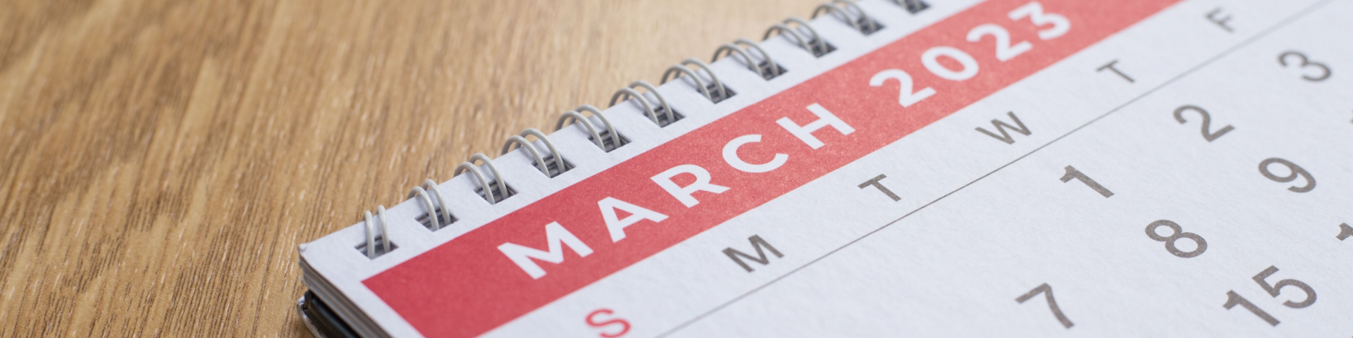 Shutterstock 2264976983