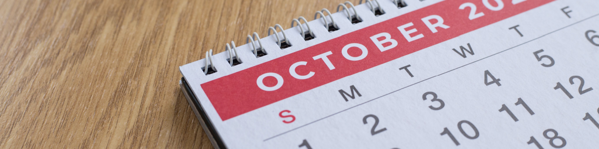 Shutterstock 2279766987