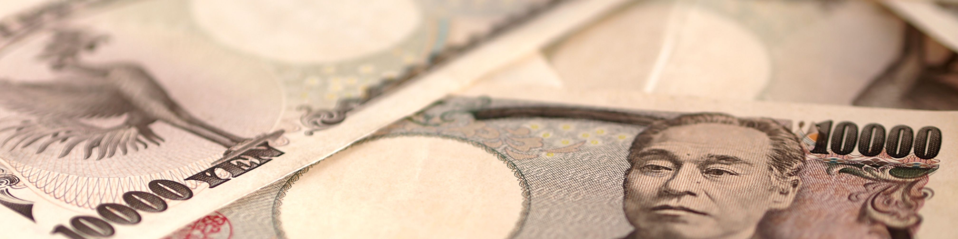 Shutterstock 113799892